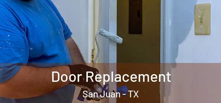 Door Replacement San Juan - TX