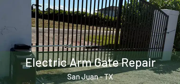Electric Arm Gate Repair San Juan - TX