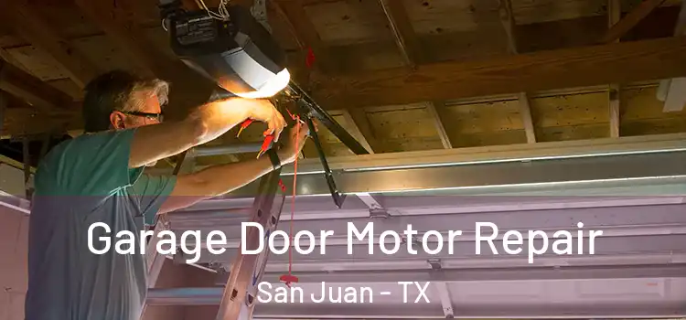  Garage Door Motor Repair San Juan - TX
