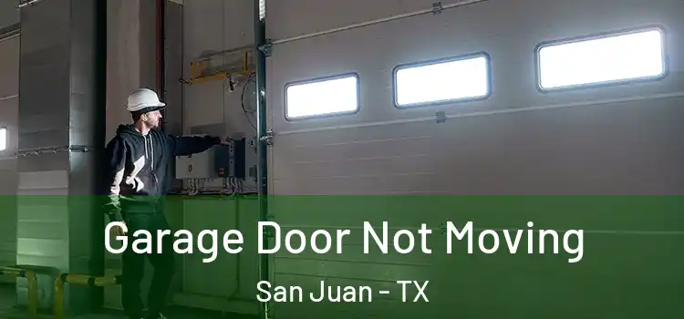  Garage Door Not Moving San Juan - TX