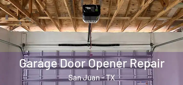  Garage Door Opener Repair San Juan - TX