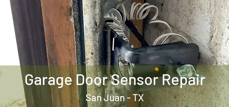 Garage Door Sensor Repair San Juan - TX