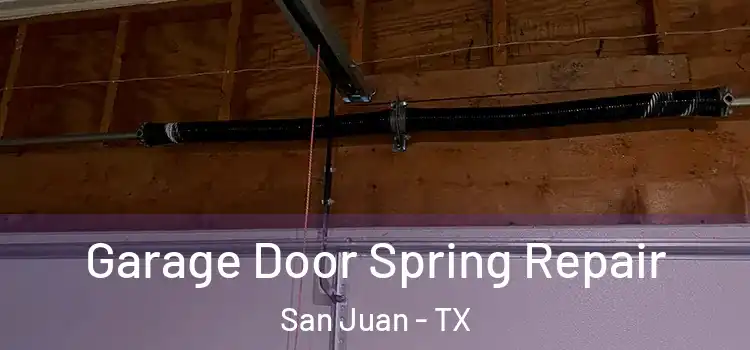  Garage Door Spring Repair San Juan - TX