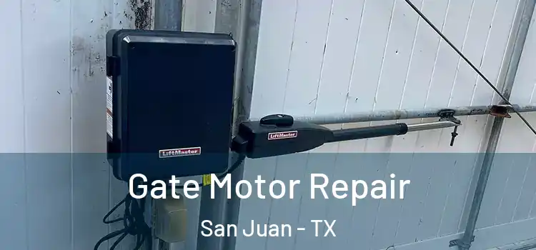 Gate Motor Repair San Juan - TX