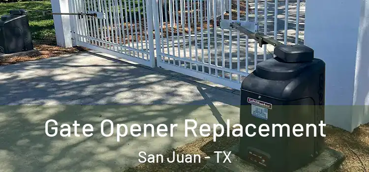  Gate Opener Replacement San Juan - TX