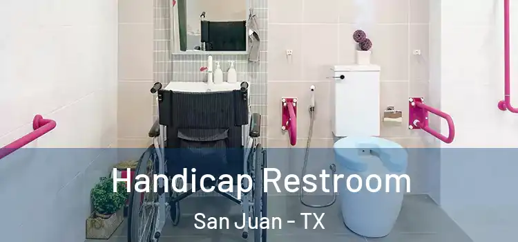 Handicap Restroom San Juan - TX