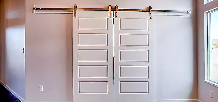 Glass Barn Door with Installation Hardware Kit San Juan