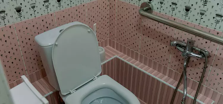 Meeting Diverse Needs With Accessible Restroom Solutions in San Juan, TX