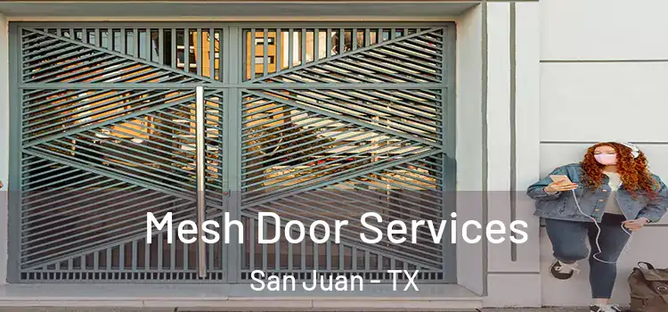 Mesh Door Services San Juan - TX