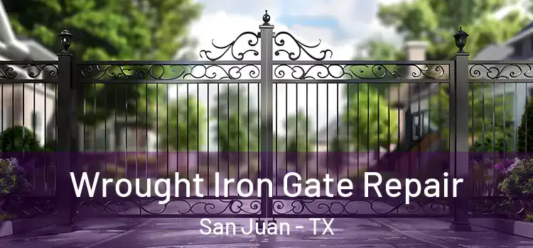 Wrought Iron Gate Repair San Juan - TX